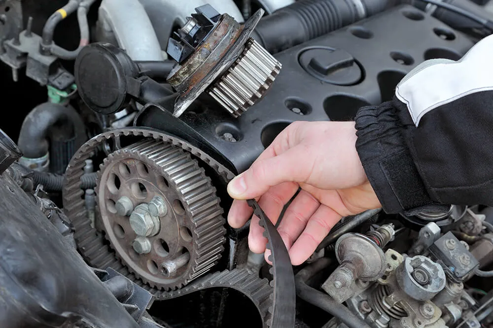 Maintaining Your Timing Belt and Timing Chain